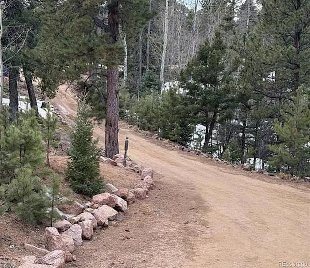 3647 Pathfinder Rd Unit B, Florissant, CO 80816 - view of dirt / gravel road with a view of trees