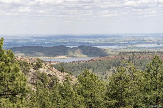3600 Blue Mountain Trl, Lyons, CO 80540 - water view featuring a forest