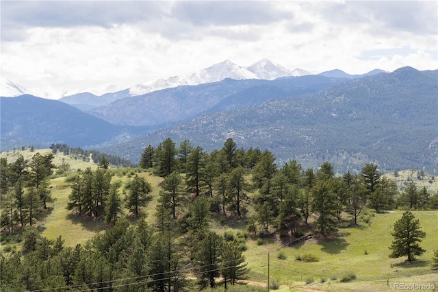 3600 Blue Mountain Trl, Lyons, CO 80540 - view of mountain background
