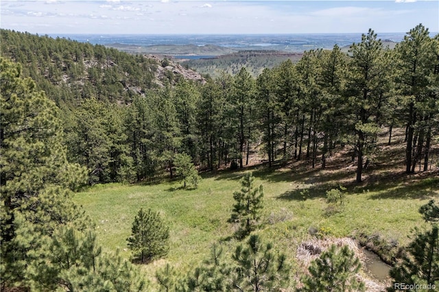 3600 Blue Mountain Trl, Lyons, CO 80540 - aerial view of a heavily wooded area