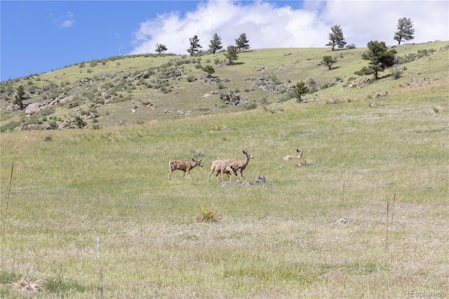 3600 Blue Mountain Trl, Lyons, CO 80540 - view of mountain background with rural landscape and agricultural land