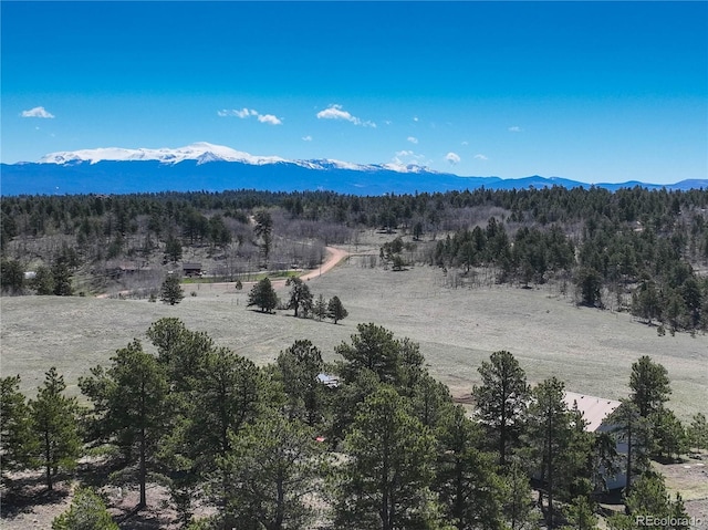 777 Deerview Dr, Florissant, CO 80816 - mountain view featuring a forest
