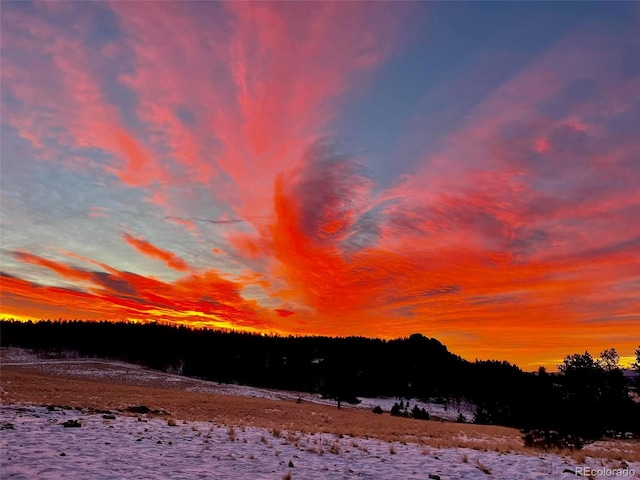 777 Deerview Dr, Florissant, CO 80816 - view of mountain backdrop