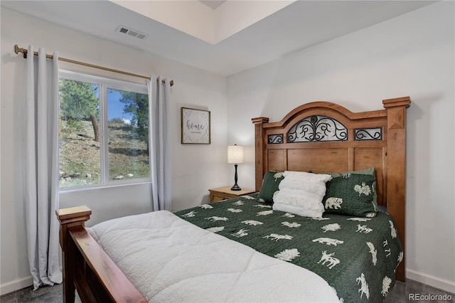 777 Deerview Dr, Florissant, CO 80816 - carpeted bedroom featuring multiple windows and baseboards