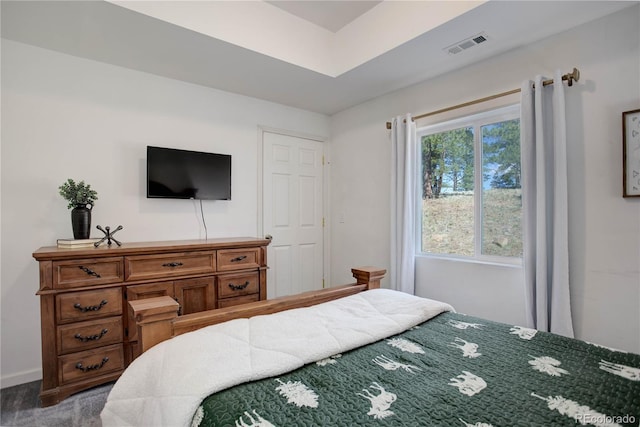 777 Deerview Dr, Florissant, CO 80816 - bedroom featuring baseboards