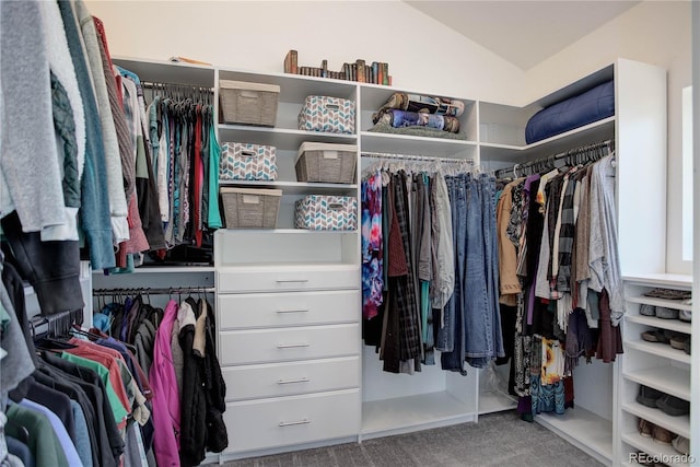 777 Deerview Dr, Florissant, CO 80816 - spacious closet with carpet flooring and lofted ceiling