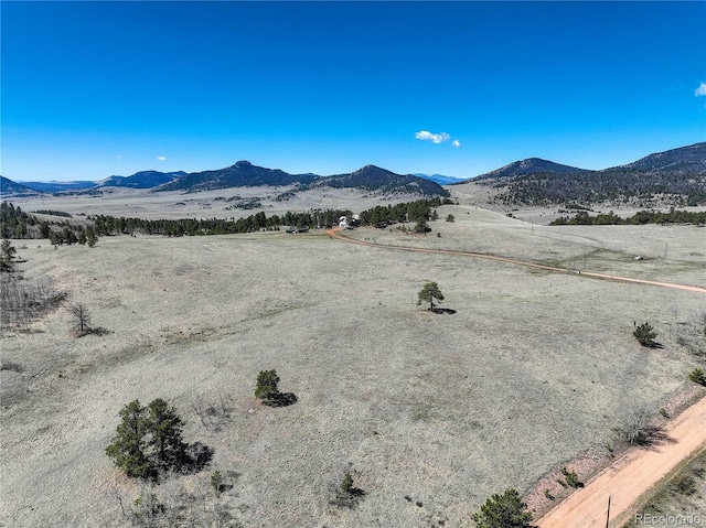 777 Deerview Dr, Florissant, CO 80816 - mountain view