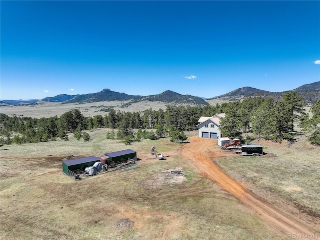 777 Deerview Dr, Florissant, CO 80816 - view of mountain backdrop