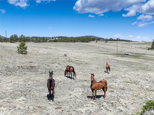 777 Deerview Dr, Florissant, CO 80816 - view of community with a view of countryside