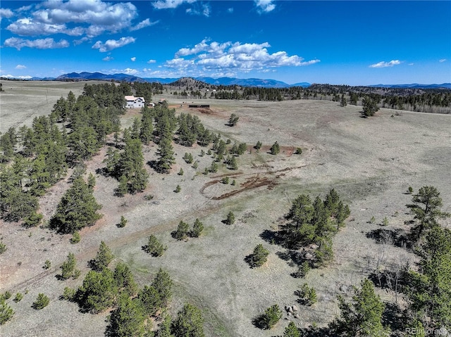 777 Deerview Dr, Florissant, CO 80816 - overview of rural landscape with a mountainous background