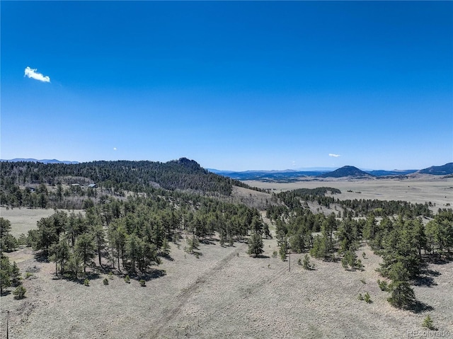 777 Deerview Dr, Florissant, CO 80816 - view of mountain background