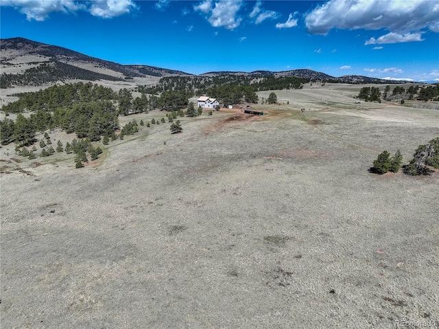 777 Deerview Dr, Florissant, CO 80816 - mountain view