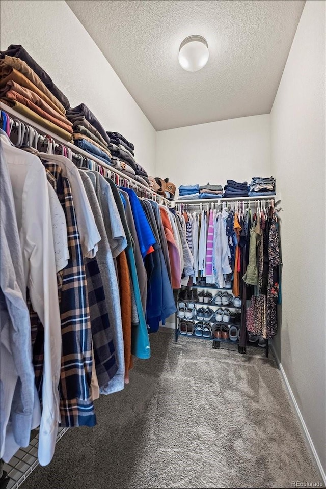 19592 W 93rd Pl Unit C, Arvada, CO 80007 - walk in closet with carpet