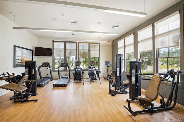 19592 W 93rd Pl Unit C, Arvada, CO 80007 - workout area with light wood finished floors and healthy amount of natural light