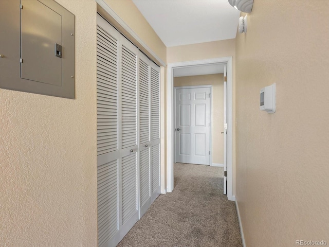 hall with electric panel, carpet flooring, baseboards, and a textured wall