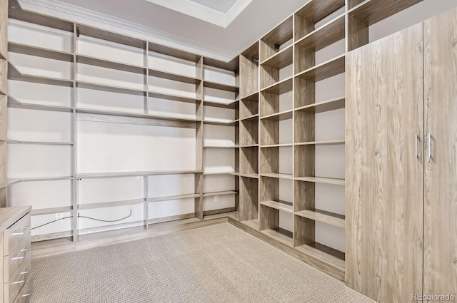 walk in closet featuring light hardwood / wood-style floors