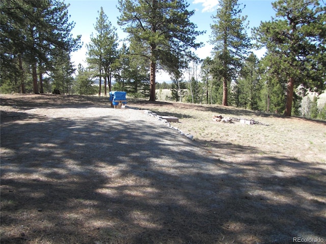 1080 Brahma Cir, Hartsel, CO 80449