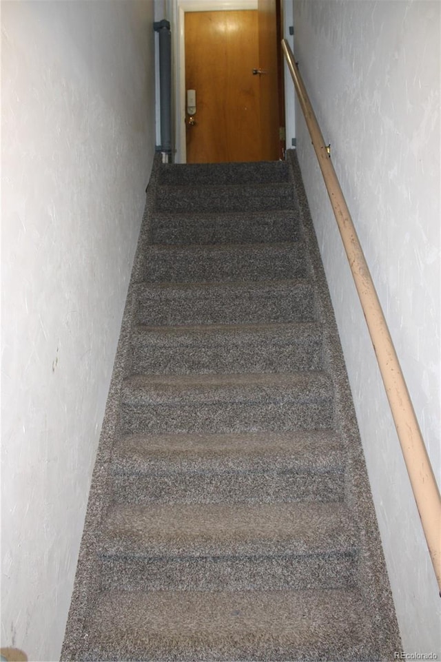 stairway featuring carpet flooring