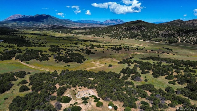 363 Black Hills Rd, Walsenburg, CO 81089 - photo 2