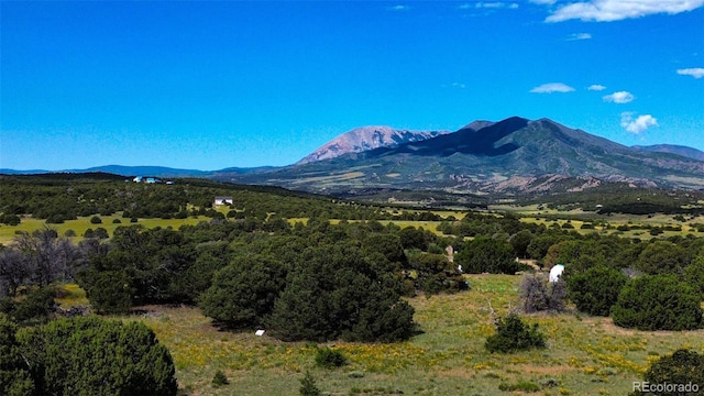 363 Black Hills Rd, Walsenburg, CO 81089 - photo 1