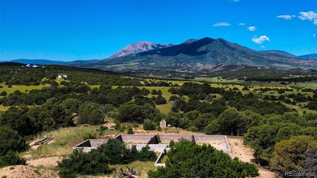 363 Black Hills Rd, Walsenburg, CO 81089 - photo 3