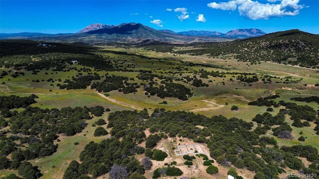 363 Black Hills Rd, Walsenburg, CO 81089 - photo 5