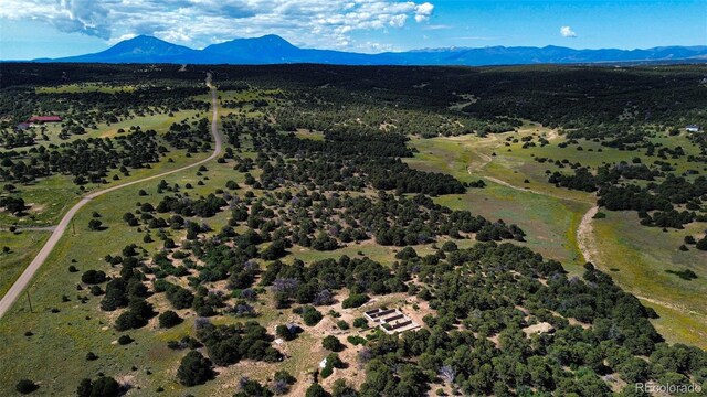363 Black Hills Rd, Walsenburg, CO 81089 - photo 7