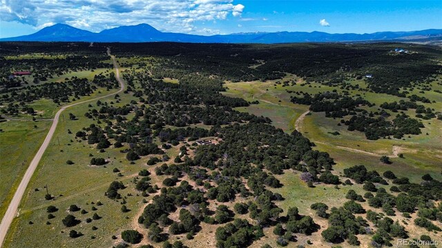363 Black Hills Rd, Walsenburg, CO 81089 - photo 8