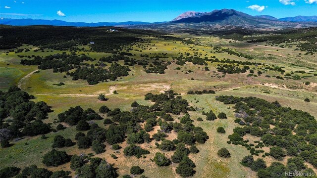 363 Black Hills Rd, Walsenburg, CO 81089 - photo 9