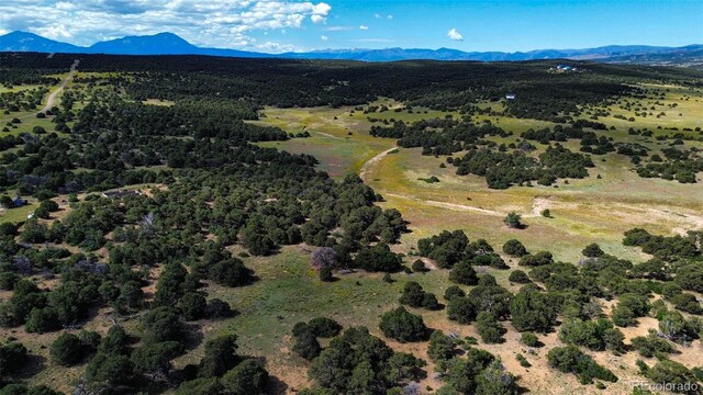 363 Black Hills Rd, Walsenburg, CO 81089 - photo 10