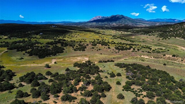 363 Black Hills Rd, Walsenburg, CO 81089 - photo 11