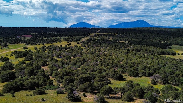 363 Black Hills Rd, Walsenburg, CO 81089 - photo 12