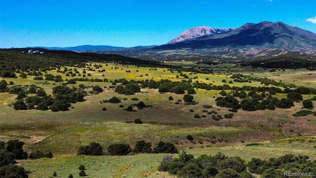 363 Black Hills Rd, Walsenburg, CO 81089 - photo 14