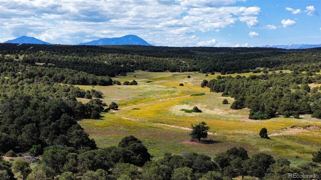 363 Black Hills Rd, Walsenburg, CO 81089 - photo 15