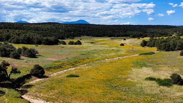 363 Black Hills Rd, Walsenburg, CO 81089 - photo 16