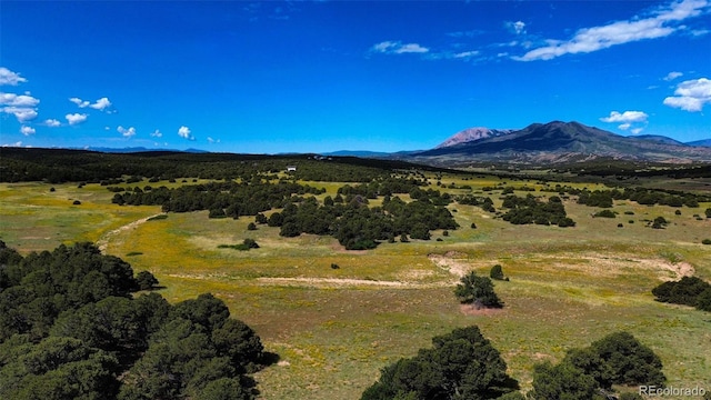 363 Black Hills Rd, Walsenburg, CO 81089 - photo 17