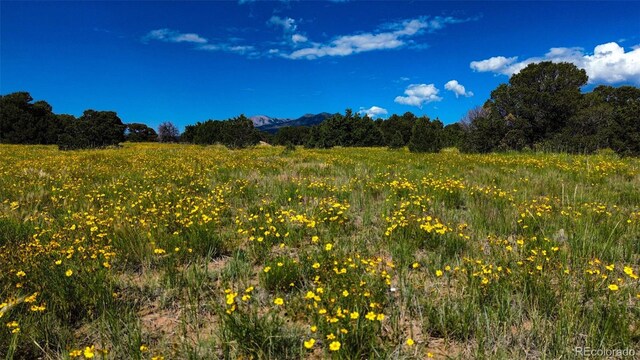 363 Black Hills Rd, Walsenburg, CO 81089 - photo 18