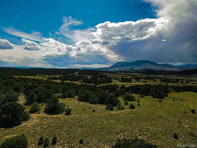 363 Black Hills Rd, Walsenburg, CO 81089 - photo 19