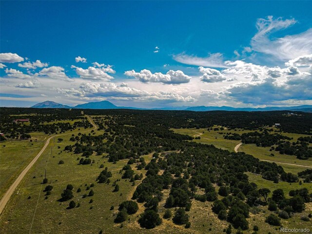363 Black Hills Rd, Walsenburg, CO 81089 - photo 20