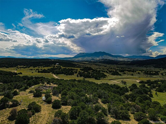 363 Black Hills Rd, Walsenburg, CO 81089 - photo 21