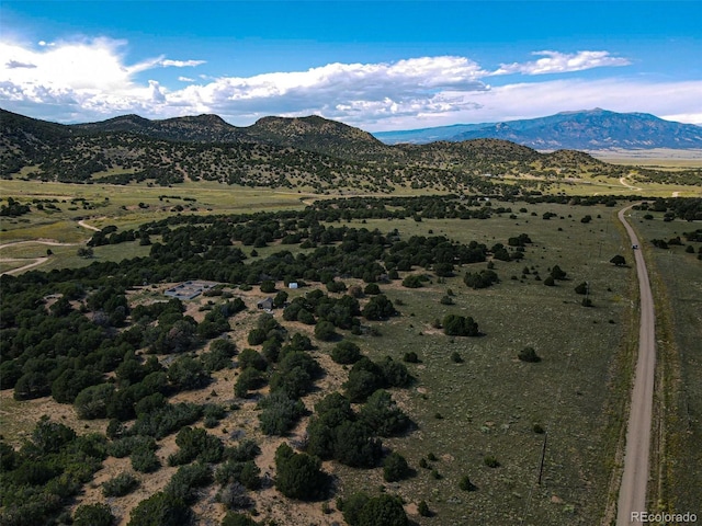 363 Black Hills Rd, Walsenburg, CO 81089 - photo 23