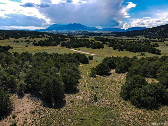 363 Black Hills Rd, Walsenburg, CO 81089 - photo 24