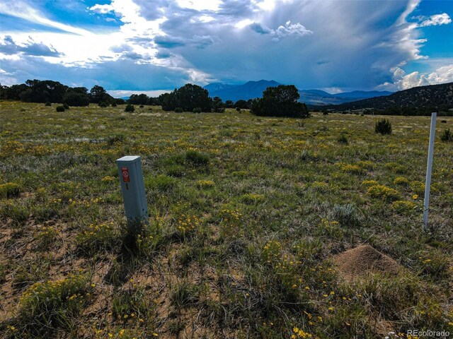 363 Black Hills Rd, Walsenburg, CO 81089 - photo 29