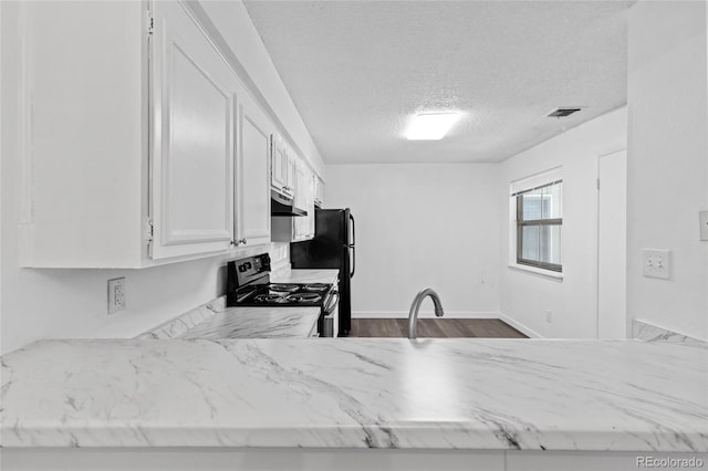 7220 S Gaylord St Unit G17, Littleton, CO 80122 - kitchen with black electric range oven, under cabinet range hood, white cabinetry, a textured ceiling, and light stone counters