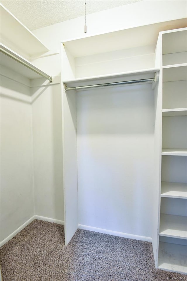 7185 S Gaylord St Unit A, Littleton, CO 80122 - walk in closet with carpet