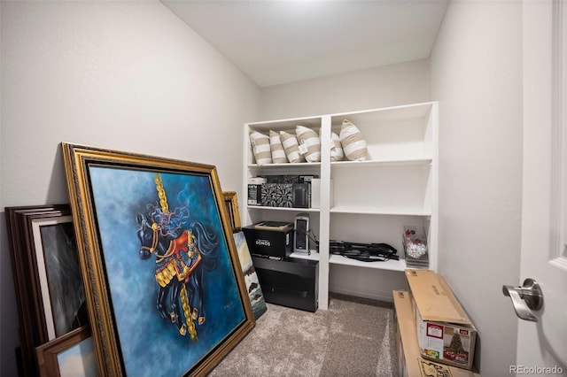 2737 Marston Hts, Colorado Springs, CO 80920 - photo 42