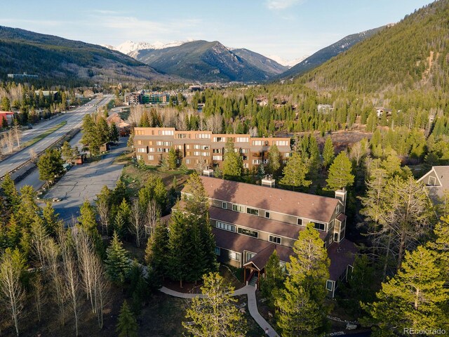 21690 US Highway 6 Unit 2039, Keystone, CO 80435 - photo 39