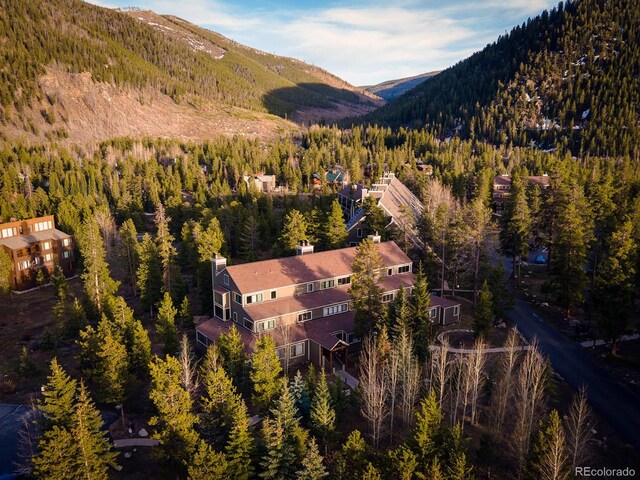 21690 US Highway 6 Unit 2039, Keystone, CO 80435 - photo 40