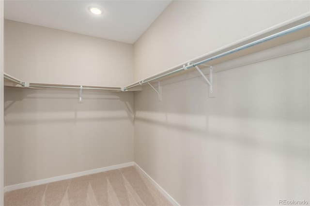 242 Mohawk Cir, Superior, CO 80027 - photo 21
