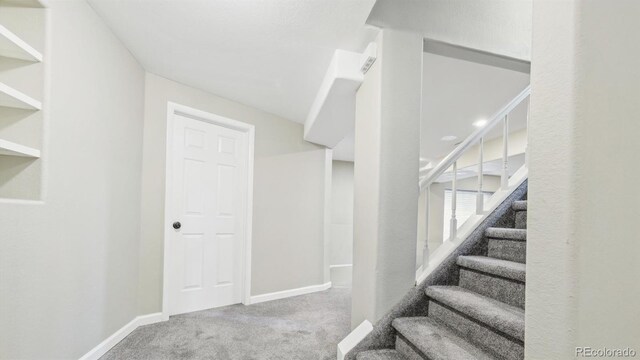 10052 Sage Sparrow Ct, Highlands Ranch, CO 80129 - stairs with carpet and baseboards